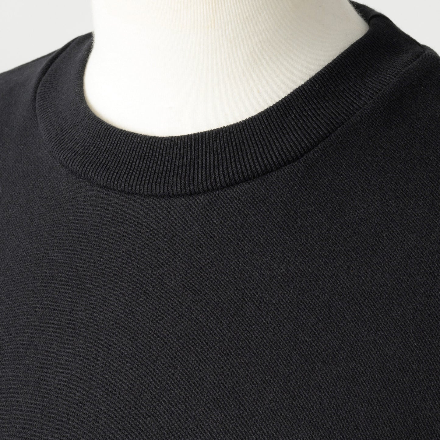 100A STURDY CREWNECK SWEATSHIRT